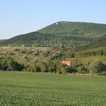 Malomdulo Farmhaz Konuk evi Pilisborosjenő Dış mekan fotoğraf
