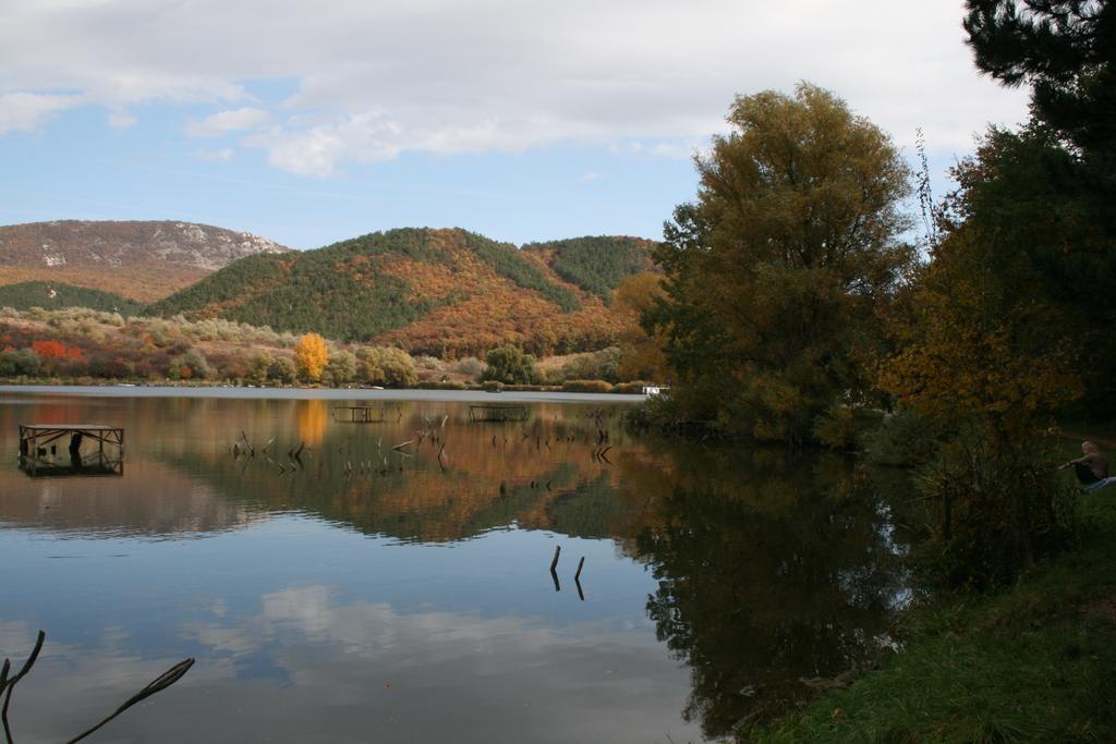 Malomdulo Farmhaz Konuk evi Pilisborosjenő Dış mekan fotoğraf