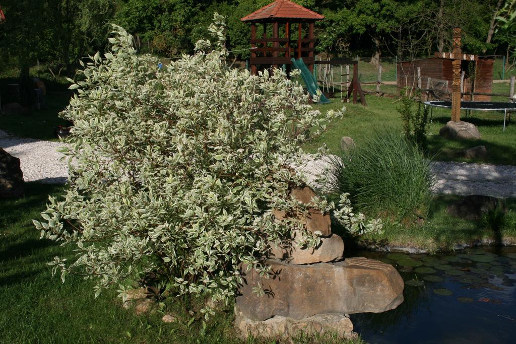 Malomdulo Farmhaz Konuk evi Pilisborosjenő Dış mekan fotoğraf