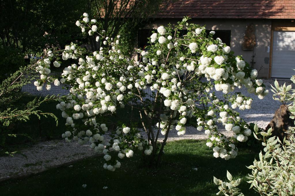 Malomdulo Farmhaz Konuk evi Pilisborosjenő Dış mekan fotoğraf