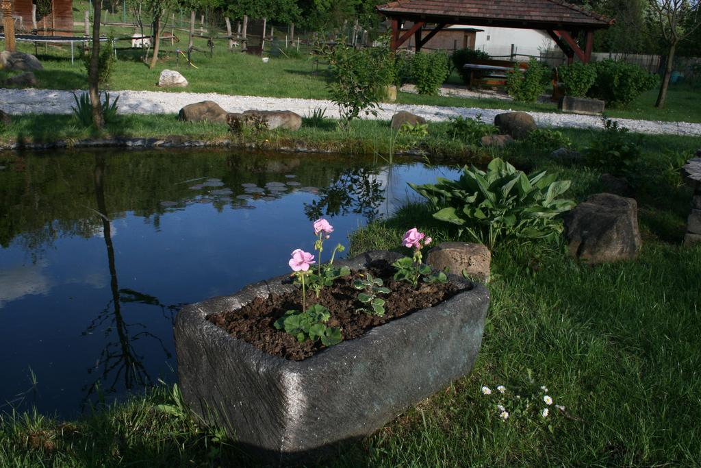 Malomdulo Farmhaz Konuk evi Pilisborosjenő Dış mekan fotoğraf