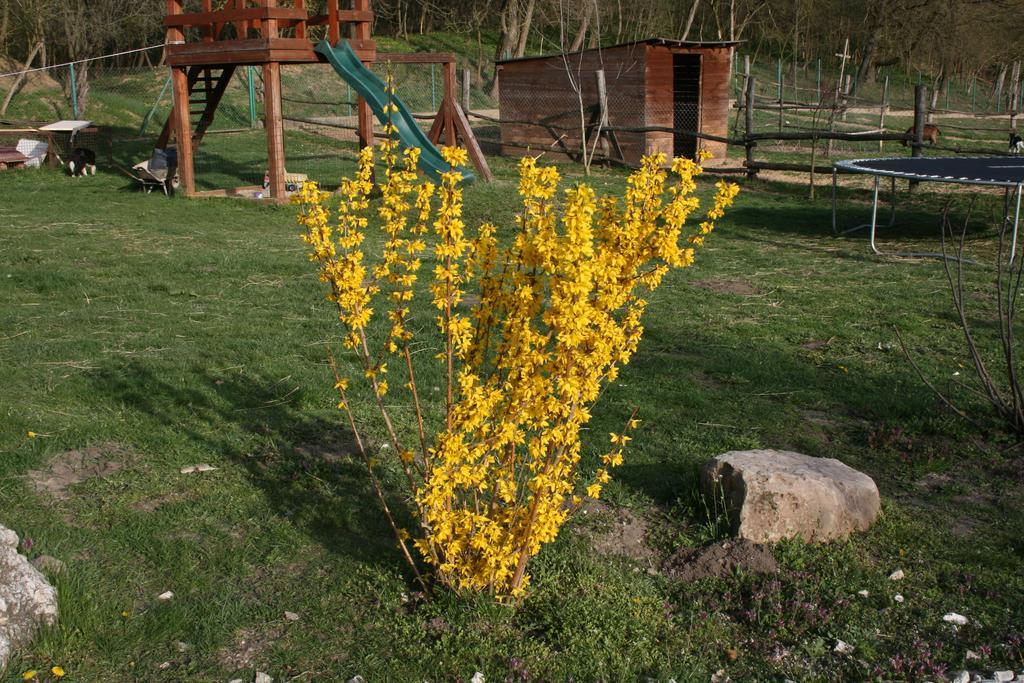 Malomdulo Farmhaz Konuk evi Pilisborosjenő Dış mekan fotoğraf